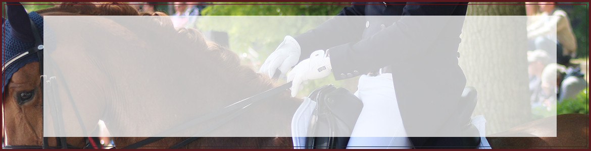 AMICALE DES ECURIES DE LOUCHATS